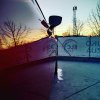 IMG_20200312_154446_485.jpg