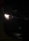 IMG_0890.jpeg