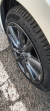 pirelli.jpg