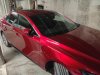 IMG_20200909_173459.jpg