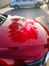 IMG_20201010_110423.jpg