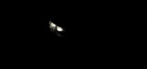 20201228_191147.jpg