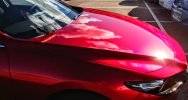WhatsApp Image 2021-01-07 at 08.29.33.jpeg