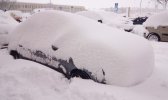IMG_20210111_122308_296.jpg