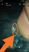 IMG_20210302_201346.jpg