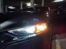 IMG_20220419_182449.jpg