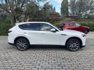 CX60-0781.JPG