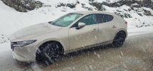 20240329_151028.jpg