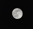 _DSC0270luna.jpg