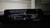IMG_7824.JPEG