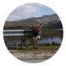 doMXey